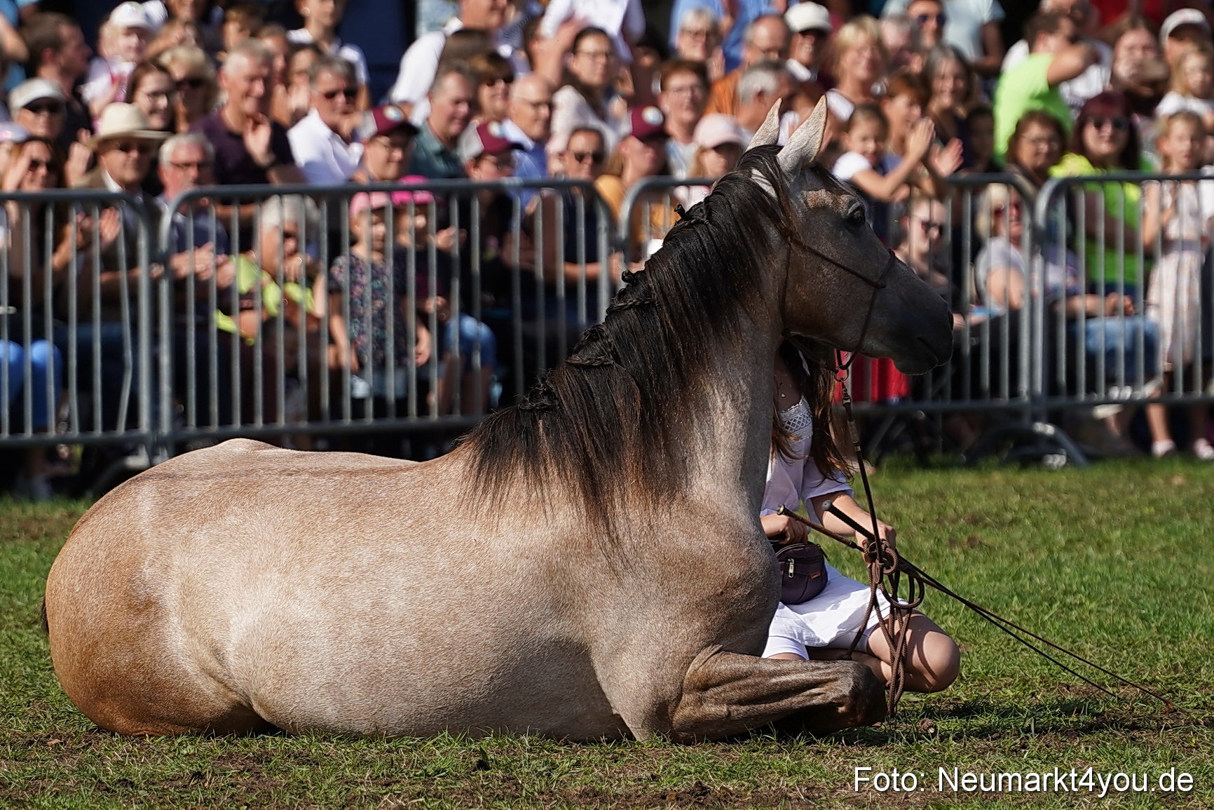 Pferde und Fohlenschau 2022 0154 